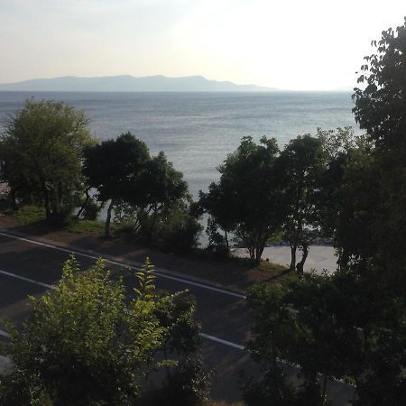 Apartment Marina Senj Senj  Ngoại thất bức ảnh